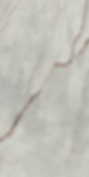 Grey Roots Italian Porcelain Tile
