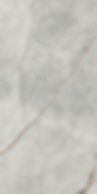 Grey Roots Italian Porcelain Tile