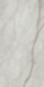 Grey Roots Italian Porcelain Tile
