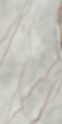 Grey Roots Italian Porcelain Tile